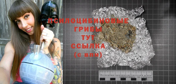 первитин Богородицк