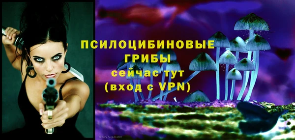 первитин Усинск