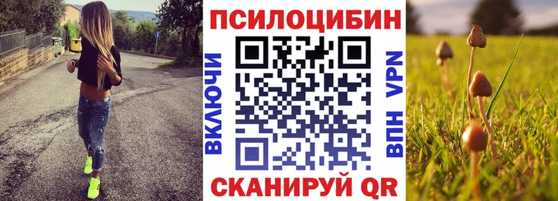 Псилоцибиновые грибы Cubensis  купить   Кемь 